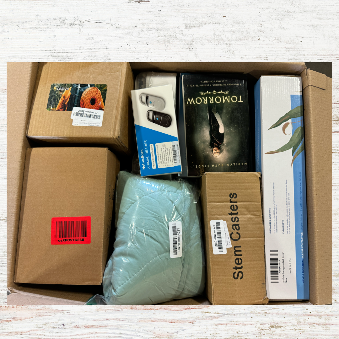 Amazon Wholesale Box #3238